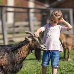 Penzion Erlebenswert Bauernhof Gruber 3*