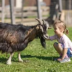 Penzion Erlebenswert Bauernhof Gruber
