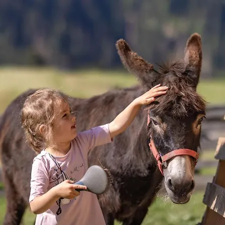 Erlebenswert Bauernhof Gruber 3*